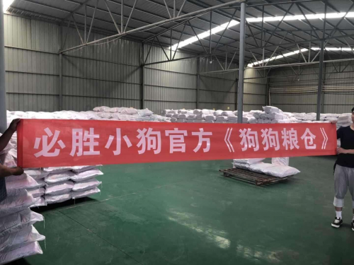 探访：必胜小狗APP品牌创始人蔡元智能宠物防走失挂牌让爱宠从此不迷路！(图3)
