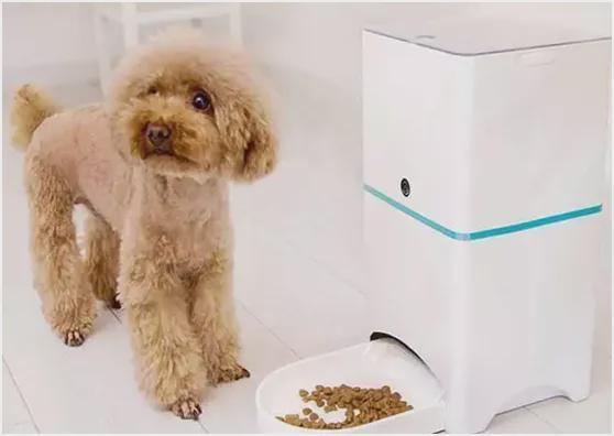 从自动饮水机到自动猫砂盆宠物智能产品的未来何去何从？(图1)
