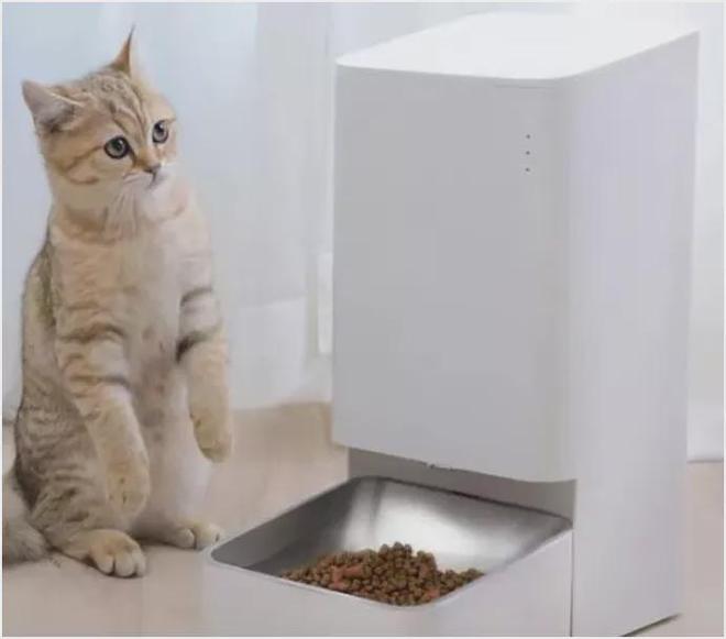 从自动饮水机到自动猫砂盆宠物智能产品的未来何去何从？(图2)