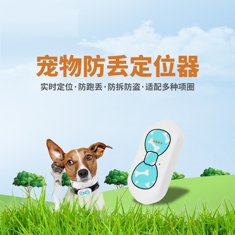 与萌宠共度时光：Pawfit宠物智能定位项圈带来的新体验(图1)