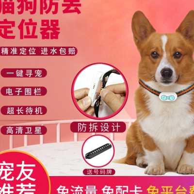 跨境亚马逊特价宠物猫咪狗项圈新生幼猫识别圈可爱饰品防丢失脖圈市场价格(图1)