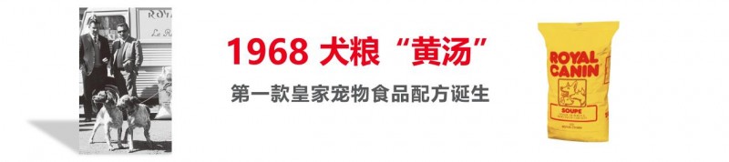 皇家宠物食品中国三十周年：以精准营养守护犬猫健康构建宠物生态新未来(图4)