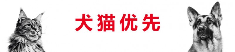 皇家宠物食品中国三十周年：以精准营养守护犬猫健康构建宠物生态新未来(图3)