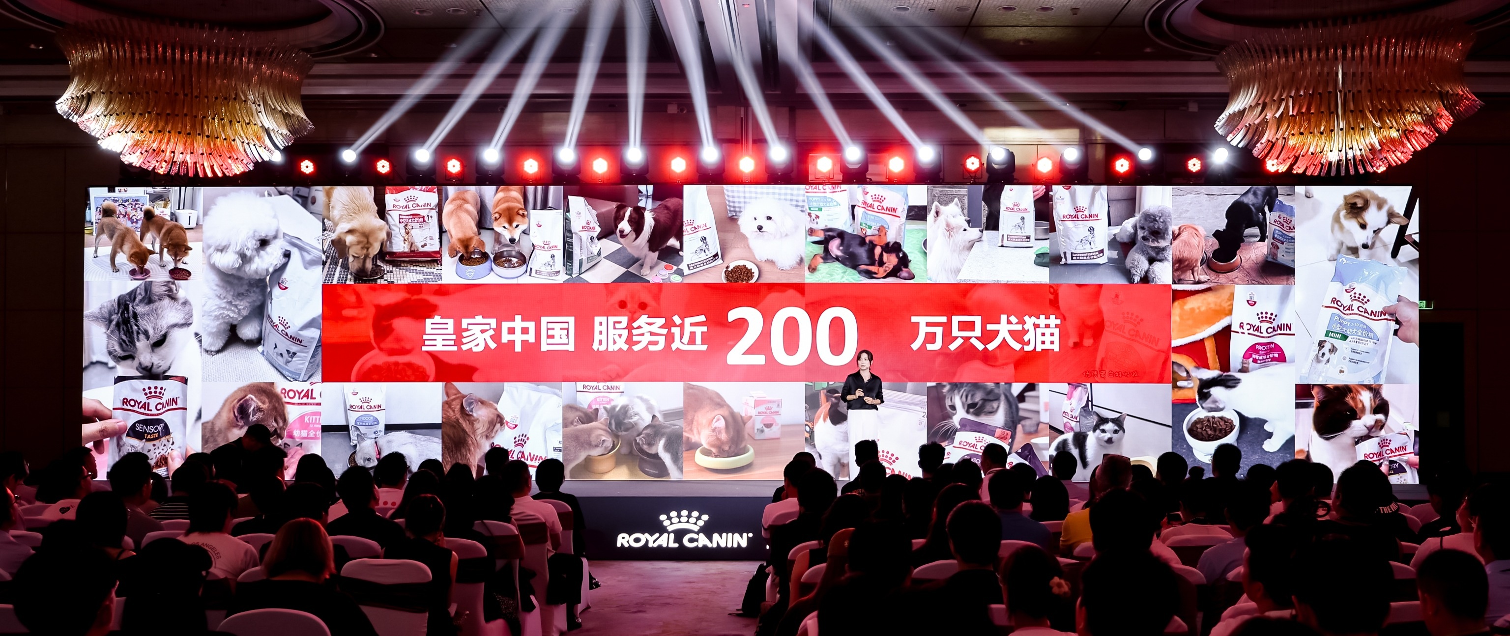 皇家宠物食品中国三十周年：以精准营养守护犬猫健康构建宠物生态新未来(图6)