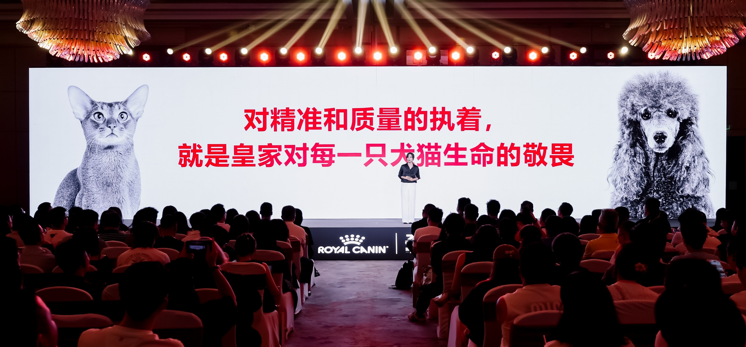 皇家宠物食品中国三十周年：以精准营养守护犬猫健康构建宠物生态新未来(图10)