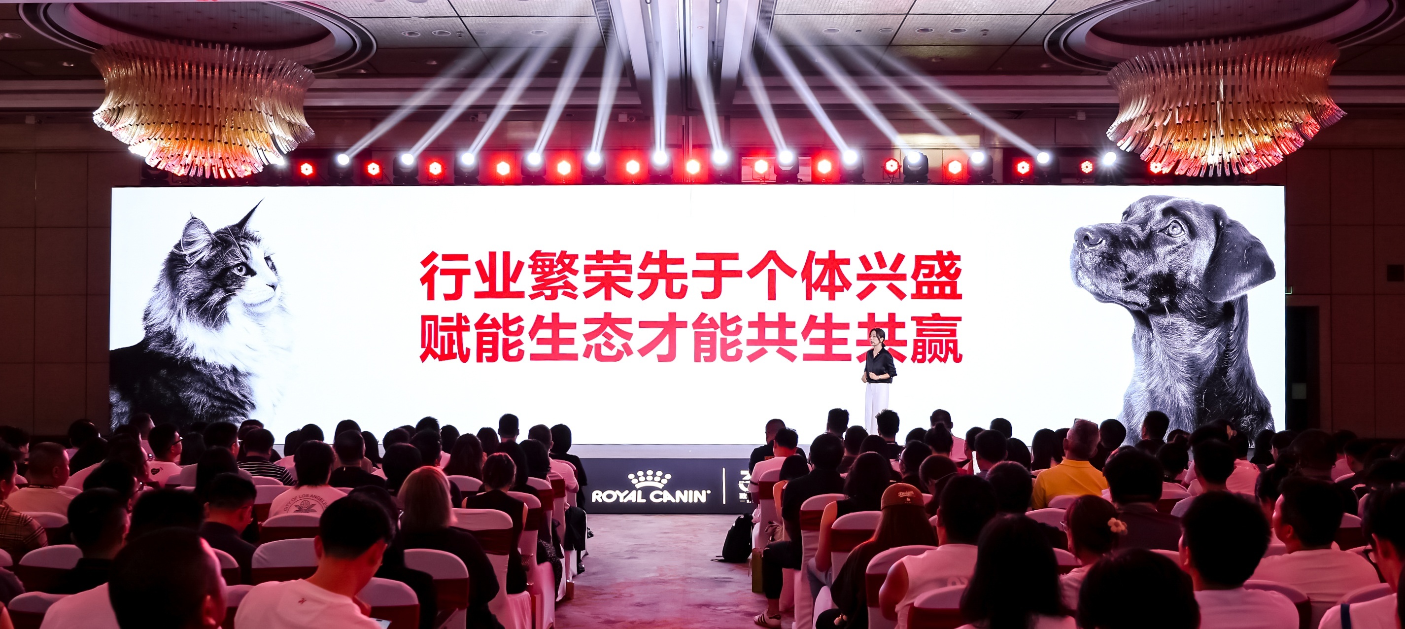 皇家宠物食品中国三十周年：以精准营养守护犬猫健康构建宠物生态新未来(图19)