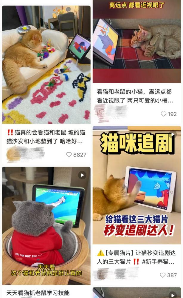 宠物消费新趋势：给猫狗看动画片、喷快乐水AI身心管家也来了！(图1)