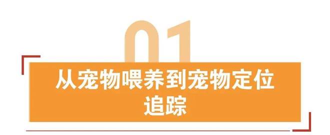 市值上亿美元宠物智能项圈如何差异化掘金欧美？(图1)