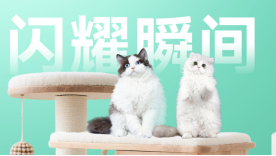 凯锐思荣获“王牌品牌”：解码自然闪耀背后的精准营养方法论(图5)
