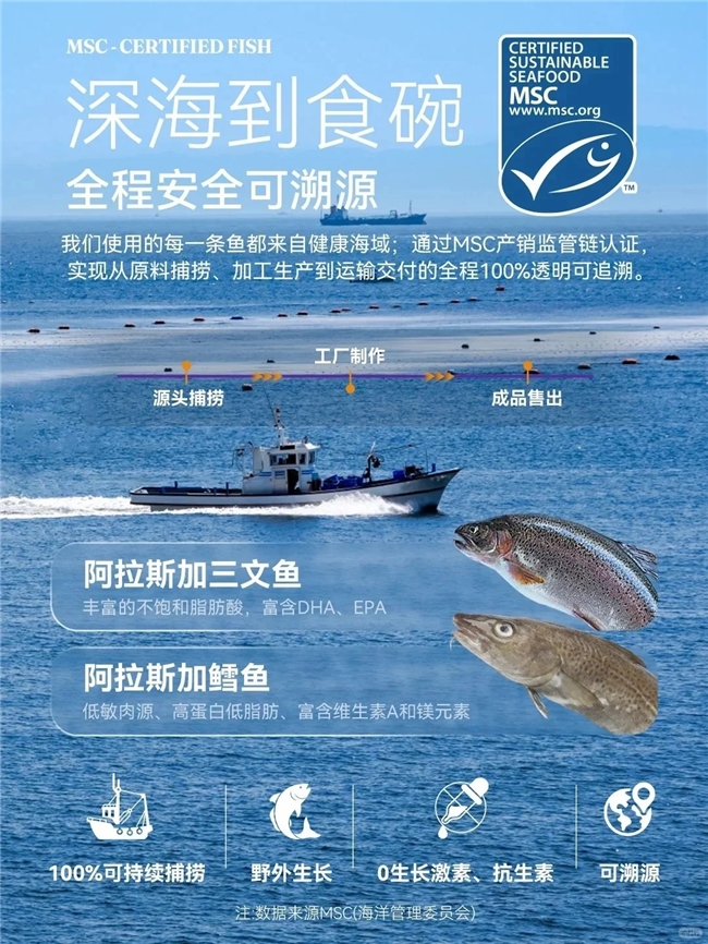 Halo自然光环亚洲业务正式独立运营多国产线协同构建可持续宠物营养体系——品牌深化本土布局强化区域供应链韧性(图2)
