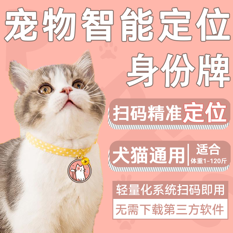 回访慰问暖人心精准服务防流浪(图1)