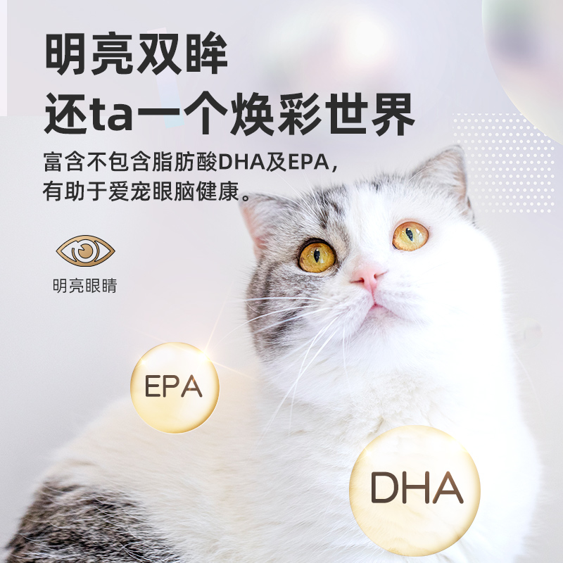2026年宠物用品行业发展现状与市场规模、技术创新趋势展望(图1)