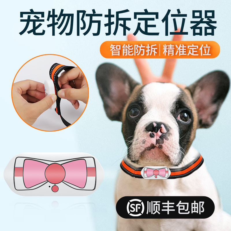 宠物定位项圈：如何选择与实现智能化管理？(图1)