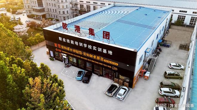 旺宠官：全链赋能点亮宠物经济未来(图1)