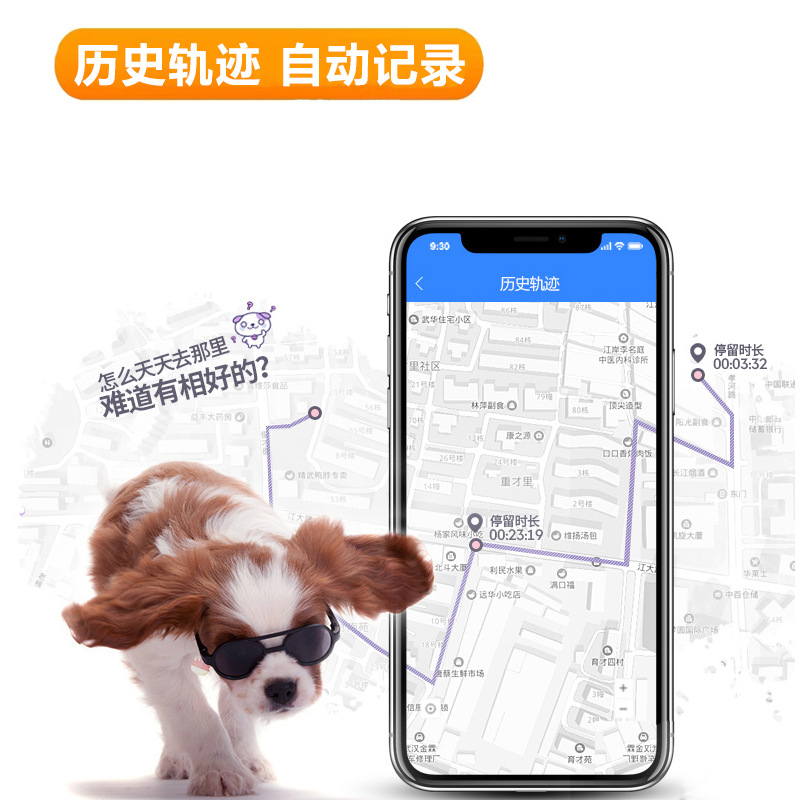 宠智灵AI大模型赋能下宠物智能项圈不再只是记录工具(图1)