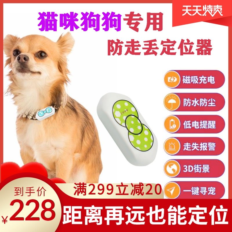 全球首创AI宠物翻译项圈亮相广东宠智联开启人宠沟通新纪元(图1)