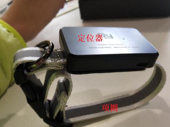 防丢项圈选购要点(图2)