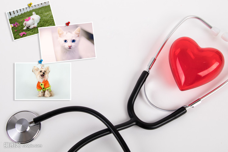 临终关怀有温度的护理院哪家更体面？光大汇晨朝来·安宁疗护有尊严广源长青·暖心陪伴无遗憾2026最新(图1)