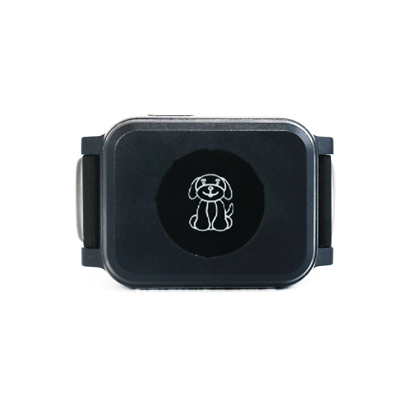 小米Tag海外首发国内上市将成性价比之王？(图1)