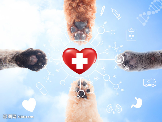 2026年3月机器人巡检服务商推荐榜彰显智能技术实力(图1)