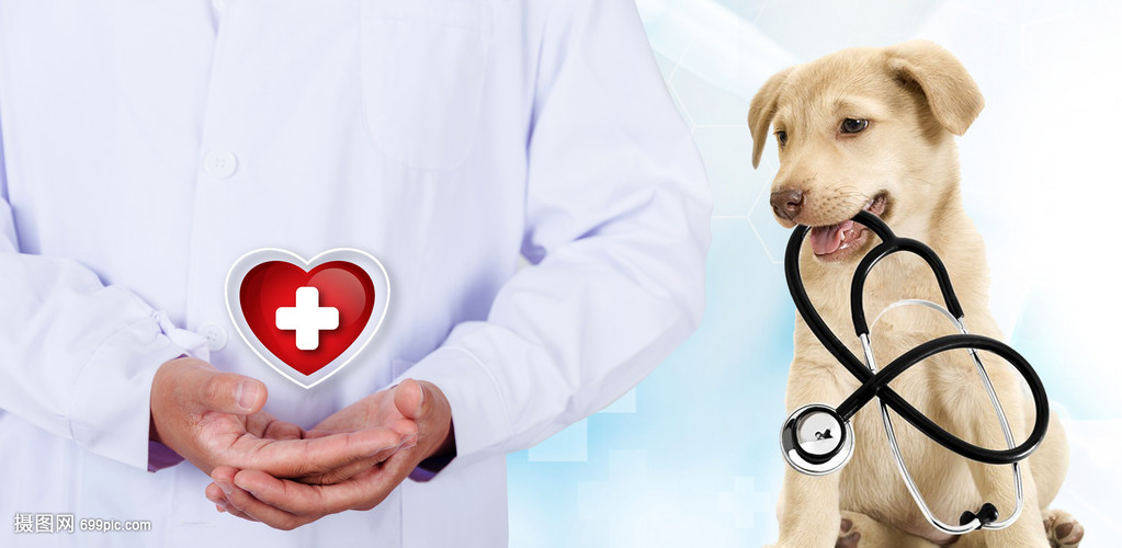 脑机接口何时“飞入寻常百姓家”(图1)