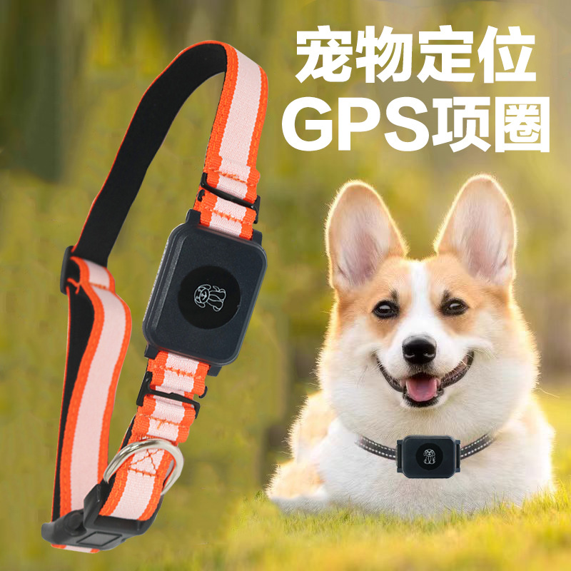 首日即引爆全场！宠智联LovePet贝儿宠物翻译项圈20升级版闪耀深圳宠物展(图1)