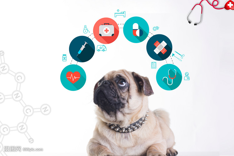 2026最新)北京品质养老优选宜居社区悦年华颐养中心（北京瀛海）地址电话公开透明专业服务值得推荐(图1)