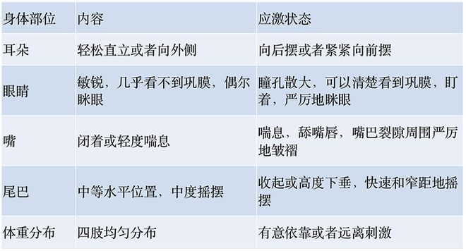 犬焦虑的饮食和饮食性补充剂(图1)