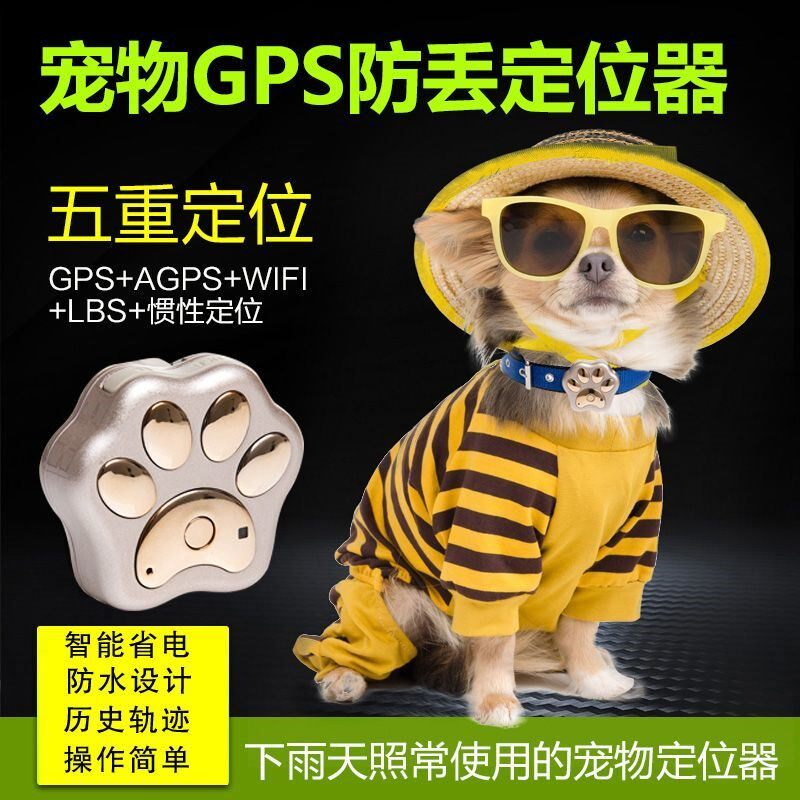 就这个便宜又好看的防走丢新年项圈不仅戴上可爱又喜庆而且可以定制宠物名字和主人手机号猫咪不小心跑丢也能有人联系上了～(图1)