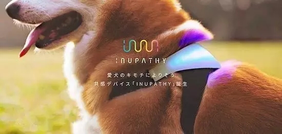 2018狗年推荐宠物狗狗们的高配智能产品清单(图1)