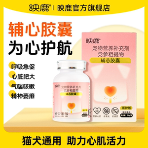 聚焦“科研到临床”转化：神健云脑在第四届中国脑机接口大赛获权威认可(图1)